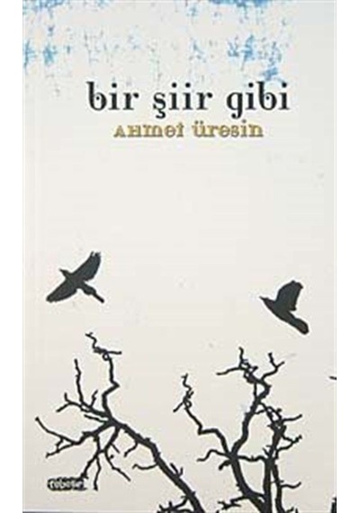 Bir Şiir Gibi - Ahmet Üresin - Tebeşir Yayınları
