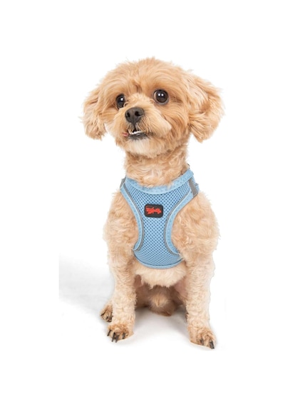 Air-mesh Küçük Ve Orta Irk Kedi Köpek Göğüs Tasması - Yumuşak, Nefes Alabilir, Dayanıklı Mavi, 2xs Çok Renkli