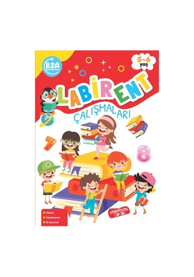 Labirent Çalışmaları