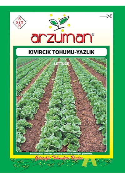 Yazlık Marul Kıvırcık Tohumu  10 GR
