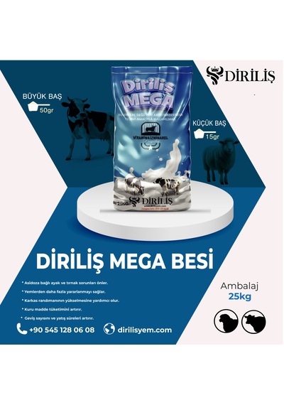 Diriliş Megabesi 25 Kg Yem Katkı