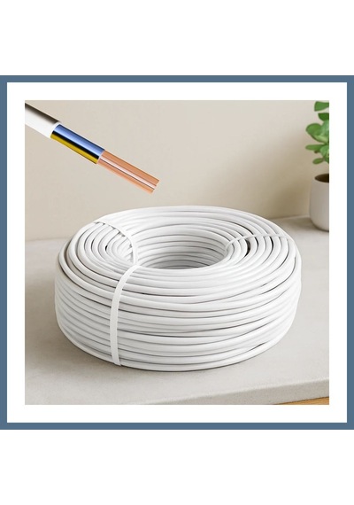 Buradabulabilirsin Ttr Cca Kablo 2x2.5 Mm² 100 M Bbz