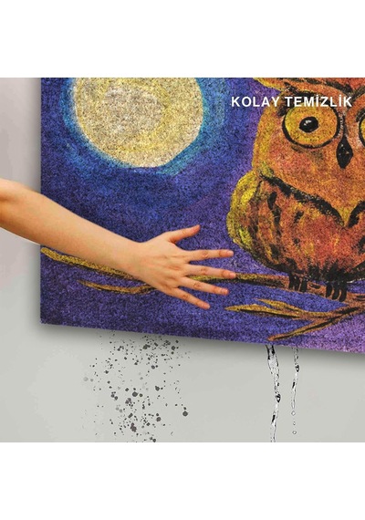 Tasarımlı Dekoratif Kapı Önü Paspas, Dış Mekan/ev İçi/banyo/mutfak/yatak Odası/giriş Paspasları Gece Bayku Diğer