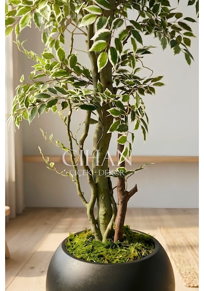 Yapay Benjamin Starlight Ağacı 180 Cm - Küre Saksılı Beyaz