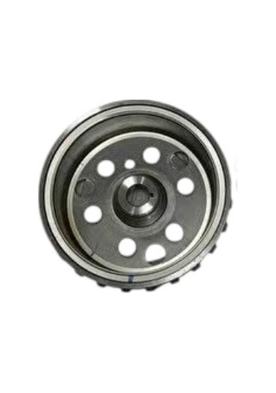 Tvs Raider 125 Rotor Volant