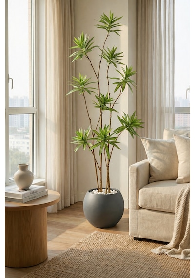 Biçiçek Yapay Dragon Bi̇tki̇si̇ 160 Cm Antresi̇t Küre Saksıda
