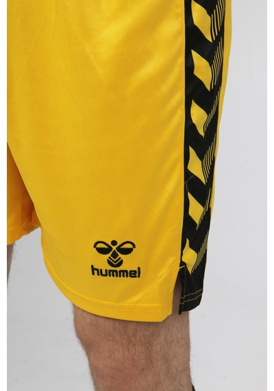 Hummel Royal Kaleci Şortu Sarı
