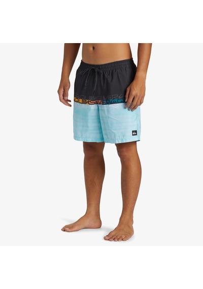Quiksilver Everyday Erkek Mavi Deniz Şortu