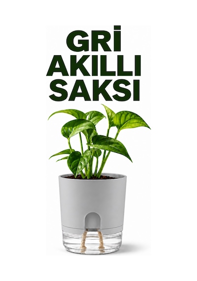 Akıllı Saksı Kendinden Sulamalı Fitilli Modern Dekoratif Saksı 2 Litre 07092104