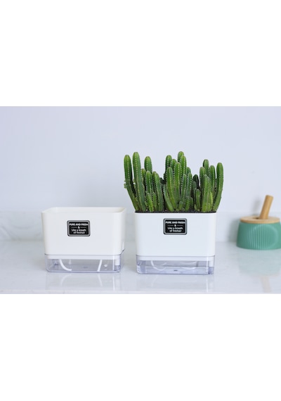 Otomatik Sulamalı Dikdörtgen Akıllı Saksı 25 X 12.5 X 14 Cm