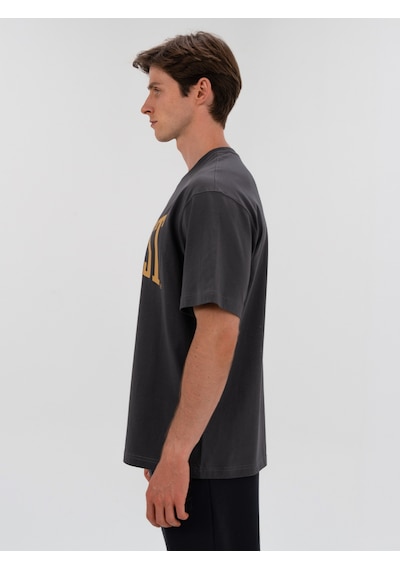 Everlast Ever Classics Comfort Logo Gri Erkek Tişört Gri