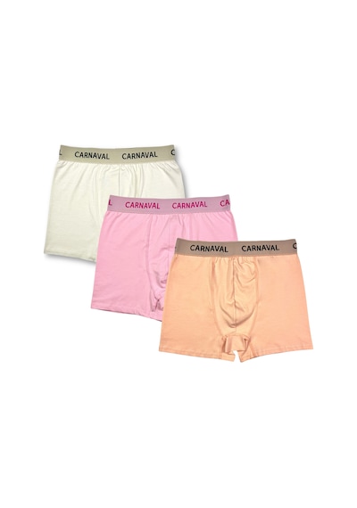 Carnaval Socks Carnaval Soft Touch Erkek Boxer 3 Lü Set Çoklu