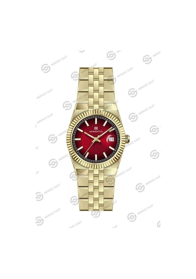 Momentus Women's Shiny Star Cs264g-14sg Gümüş