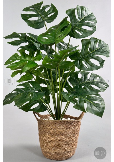 Yapay Monstera Deve Tabani 65 Cm Kulplu Hasir Saksıda Krem