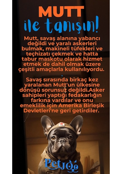 Petjoo 10.Mutt Mavi-Turuncu Qr'lı Köpek Künyesi
