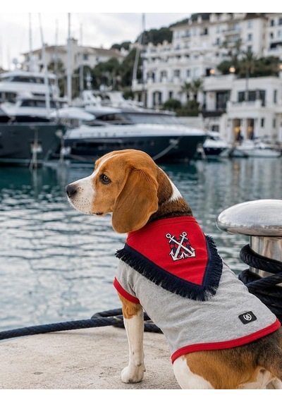 Alphadog Sailor Küçük Irk Köpek T-shirtü