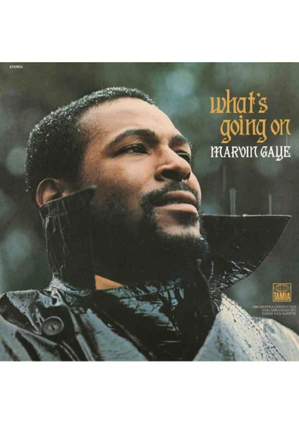 Marvin Gaye - What's Going On Lp Plak