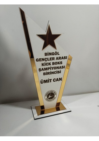 Plaket Karete/boks/judo/muay Thai/kick Boks Turnuvaları Altın