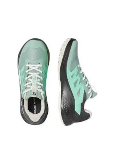 Salomon Alphaglıde Gtx W Green Milieu/asphalt/clearly Aqua Kadın Koşu/fıtness Ayakkabı L49142500 Yeşil