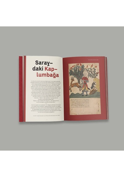 Ketebe Dükkan Kaplumbağa Ajandası 2024