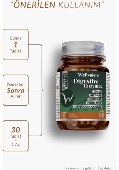Wellvalens Digestive Enzymes İkili Paket 60 Tablet 5 Li Enzim Kompleksi, Sindirim Desteği