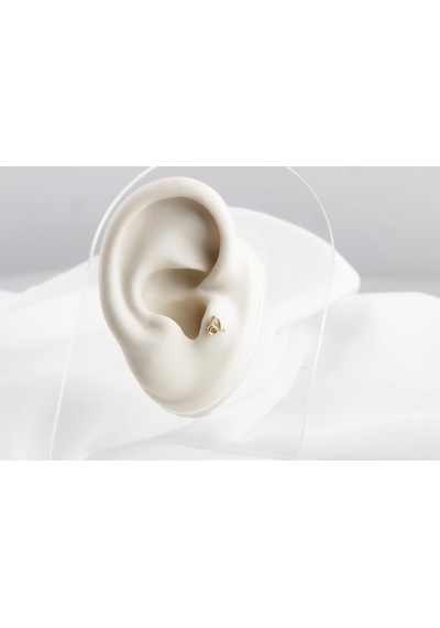 Glorria Altın Aslan Burcu Tragus Piercing Çok Renkli