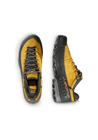 La Sportiva Tx5 Low Gtx Approach Kaya Yaklaşım Ayakkabısı Savana Tiger Sarı