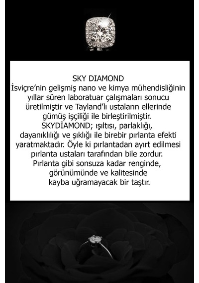 Sky Diamond Gümüş Damla Rose Küpe