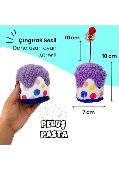 Kedi Parti Kutusu  4'lü Set