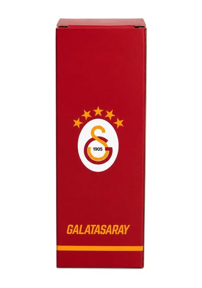 Lisanslı Çelik Matara - Parçalı Desenli Paslanmaz Su Matarası 425 Ml Diğer