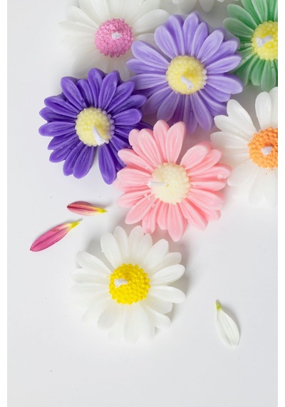Bernami Mumluk Şamdanpinterest 10 Lu Renkli Papatya Mum Diğer
