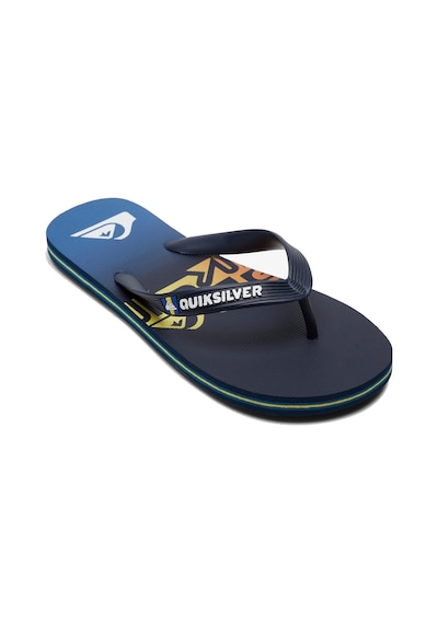 Quiksilver Molokaı Art Youth Renkli Mavi