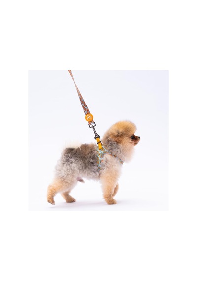 Pawstar Pizza Leash Kedi Köpek Sevk & Gezdirme Kayışı Köpek Uzatma Tasması Sarı