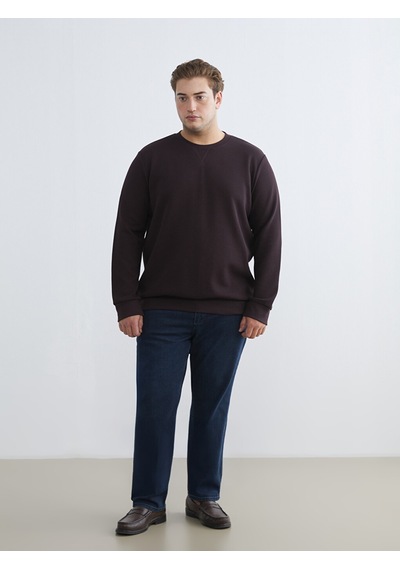 Lcwaıkıkı Classic Mürdüm Bisiklet Yaka Erkek Sweatshirt