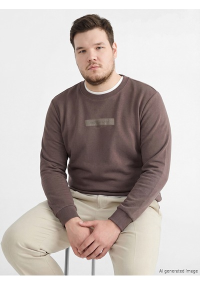 Lcwaıkıkı Classic Kahverengi Bisiklet Yaka Baskılı Erkek Sweatshirt