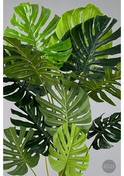 Yapay Monstera Ağacı Deve Tabani 200 Cm Beyaz Li Lyum Saksıda