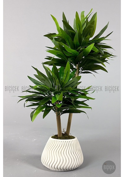 Yapay Bambu Ağacı 60cm Yoğun Yapraklı Spiral Saksıda Beyaz