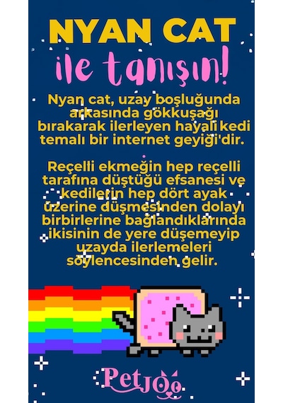 Petjoo 2.Nyan Cat Pembe-Sarı Qr'lı Kedi Künyesi