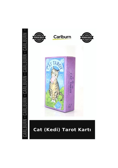 Cat Kedi Tarot Kartı Hobi Ürünü Mistik Objeler Fal Seti