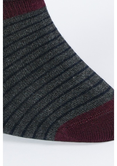 AC&Co / Altınyıldız Classics Erkek Antrasit-bordo Desenli Tekli Babet Çorap Antrasit - Bordo AC&Co / Altınyıldız Classics Erkek Antrasit-bordo Desenli Tekli Babet Çorap Antrasit - Bordo
