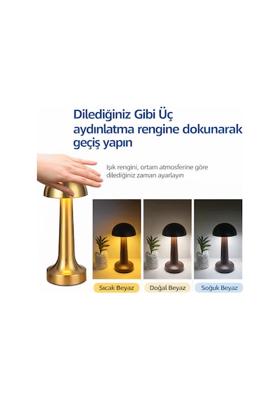 Doğum Günü, Özel Gün, Yeni İş Hediyesi Dokunmatik Şarjlı Masa Lambası, Figürlü Kupa Ve Dekoratif Çerçeveli 4'lü Hediye Seti Çok Renkli