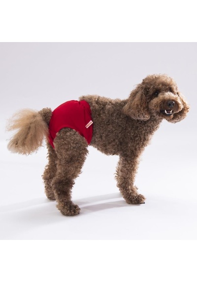 Pawstar Karışık Düz Renkli 1 Kedi Köpek Çamaşırı Regl Kilodu 3'lü