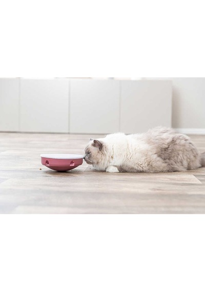 Trixie Kedi Sallanan Labirent Oyunu