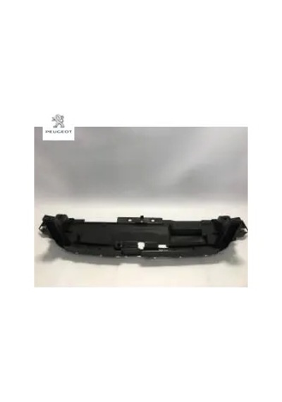 P C İskeleti Peugeot 9813564380