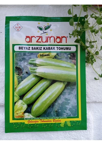 Beyaz Sakız Kabak Tohumu 1 Paket 20 Adet Kabak Tohumu Sebze Tohum N111543