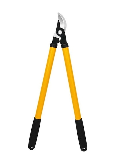 Sgs 2046 Dal Budama Makası 21