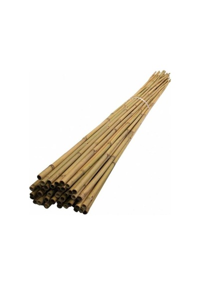 50 Adet Fidan Destek Çubuğu Kamış 140-150Cm
