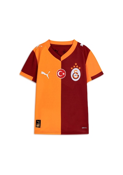 Puma Galatasaray 25/26 Genç İç Saha Forması 779818 01 Kırmızı