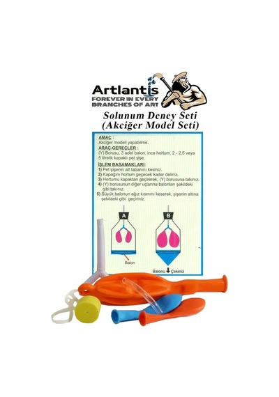 Solunum Deney Seti 7 Parça 1 Paket Akciğer Model Seti Y Boru Tıpa Balon Okul Sınıf Deney Seti