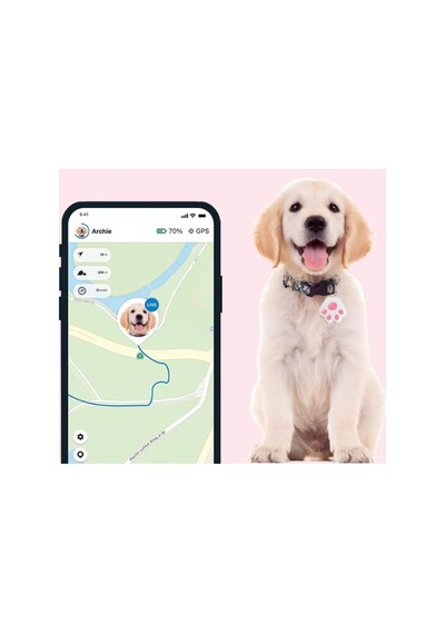 Plus Longevity Çok Küçük Irk Yetişkin Köpek Sı 700g